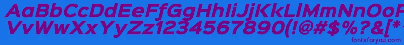 Sinkinsans800blackitalic Font – Purple Fonts on Blue Background