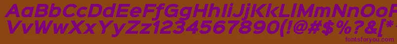 Sinkinsans800blackitalic-fontti – violetit fontit ruskealla taustalla