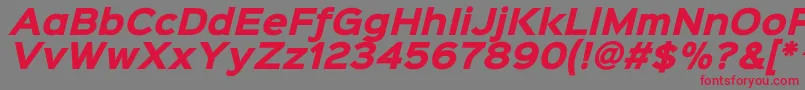 Sinkinsans800blackitalic Font – Red Fonts on Gray Background