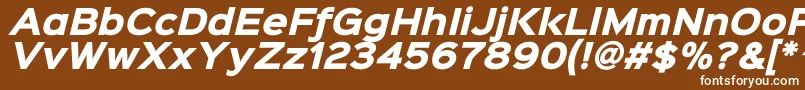 Sinkinsans800blackitalic Font – White Fonts on Brown Background