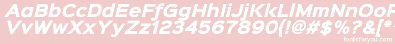 Sinkinsans800blackitalic Font – White Fonts on Pink Background