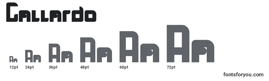 sizes of gallardo font, gallardo sizes