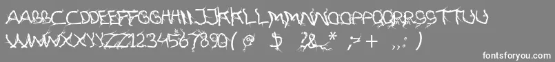 FtfHutanAkarasiana Font – White Fonts on Gray Background
