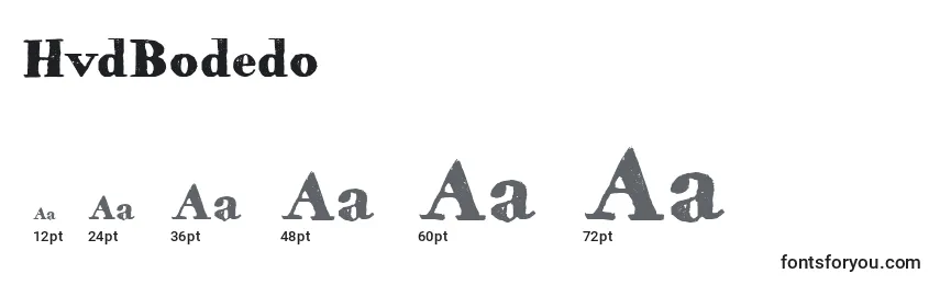 HvdBodedo Font Sizes