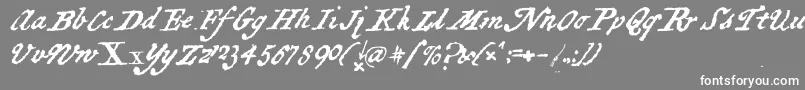 Шрифт BlackSamsGold – белые шрифты на сером фоне
