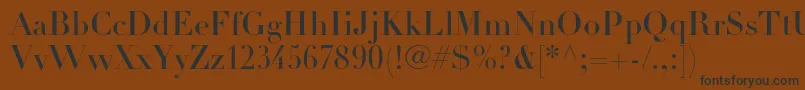 DidotltstdHeadline Font – Black Fonts on Brown Background