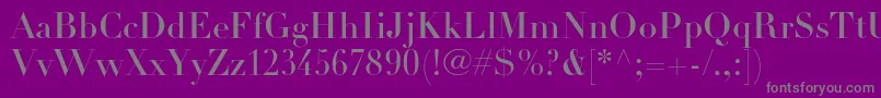 DidotltstdHeadline Font – Gray Fonts on Purple Background