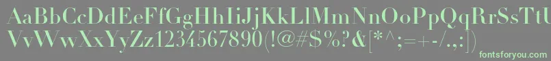 DidotltstdHeadline Font – Green Fonts on Gray Background