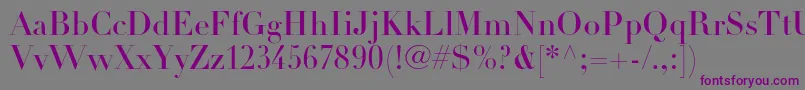 DidotltstdHeadline Font – Purple Fonts on Gray Background