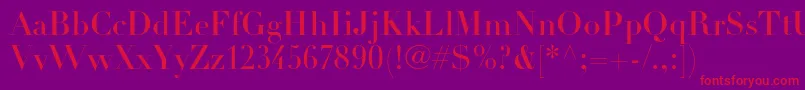 DidotltstdHeadline Font – Red Fonts on Purple Background