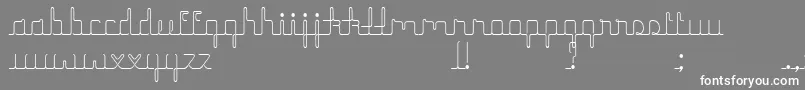 HerrlichesScript Font – White Fonts on Gray Background