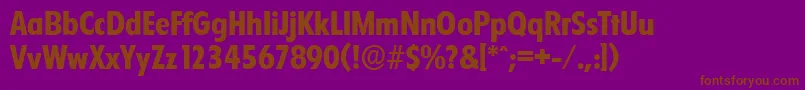 FloridaserialXboldRegular Font – Brown Fonts on Purple Background