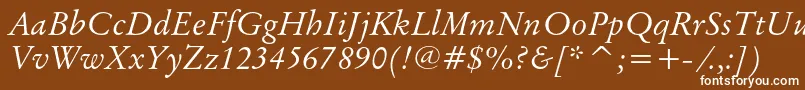 フォントOriginalgaramondcbtItalic – 茶色の背景に白い文字