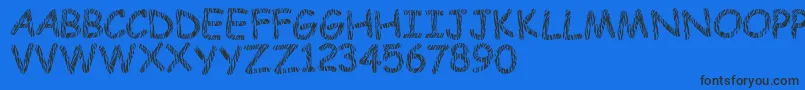 Funnyzebra Font – Black Fonts on Blue Background