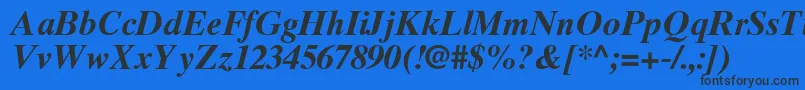 TimesTenGreekBoldInclined Font – Black Fonts on Blue Background