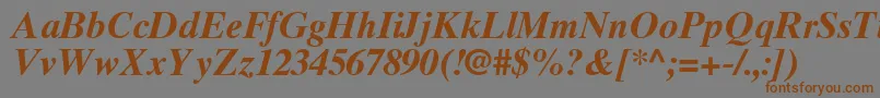 TimesTenGreekBoldInclined Font – Brown Fonts on Gray Background
