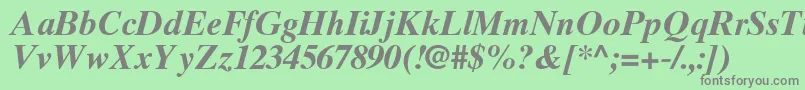 TimesTenGreekBoldInclined Font – Gray Fonts on Green Background