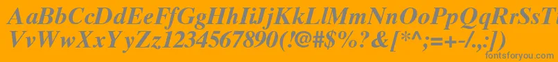 TimesTenGreekBoldInclined Font – Gray Fonts on Orange Background