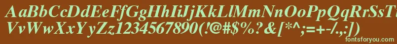 TimesTenGreekBoldInclined Font – Green Fonts on Brown Background