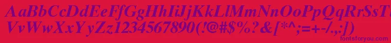 TimesTenGreekBoldInclined Font – Purple Fonts on Red Background