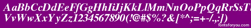 TimesTenGreekBoldInclined Font – White Fonts on Purple Background