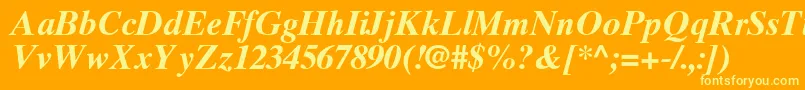 TimesTenGreekBoldInclined Font – Yellow Fonts on Orange Background