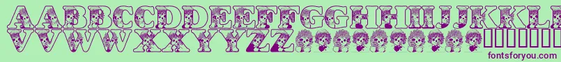 LmsKidsInACandyShop Font – Purple Fonts on Green Background
