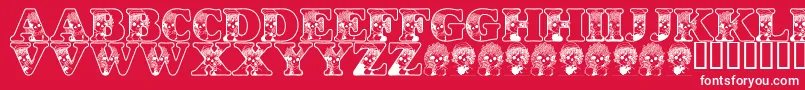 LmsKidsInACandyShop Font – White Fonts on Red Background