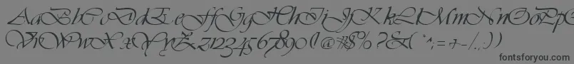 Vivacs Font – Black Fonts on Gray Background