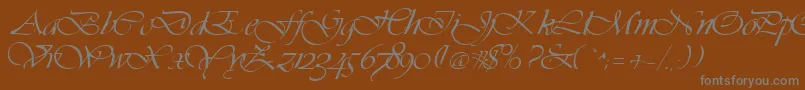 Vivacs-fontti – harmaat kirjasimet ruskealla taustalla
