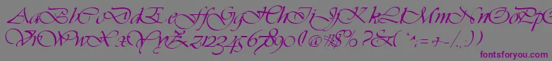 Vivacs Font – Purple Fonts on Gray Background