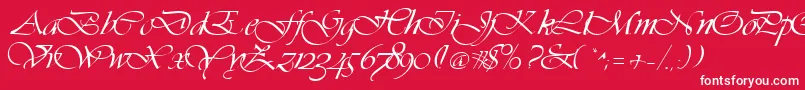 Vivacs Font – White Fonts on Red Background