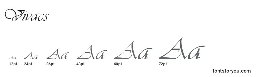 Vivacs Font Sizes