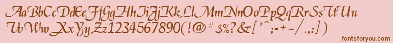 EnigmaBold Font – Brown Fonts on Pink Background