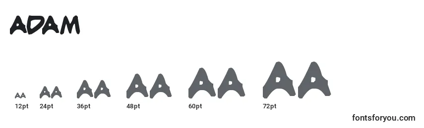 Adam (50183) Font Sizes