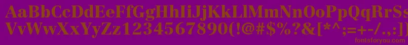 CentennialltstdBlack Font – Brown Fonts on Purple Background