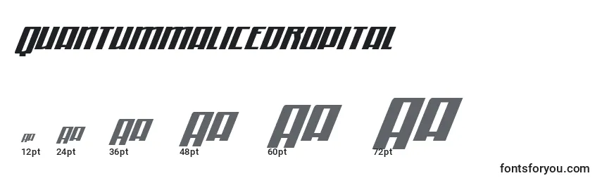 Quantummalicedropital Font Sizes