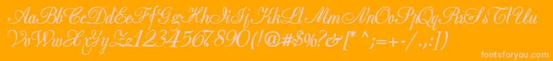 Basicclassa156aBold Font – Pink Fonts on Orange Background