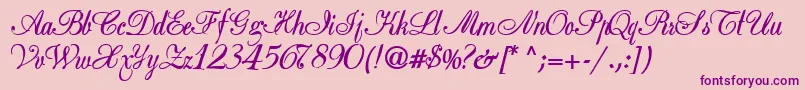 Basicclassa156aBold Font – Purple Fonts on Pink Background