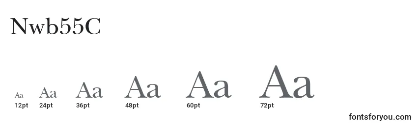 sizes of nwb55c font, nwb55c sizes