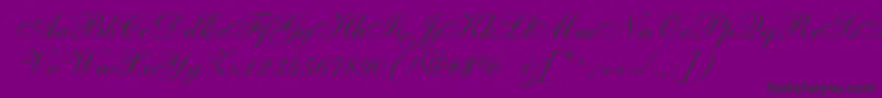 Allegroscript Font – Black Fonts on Purple Background