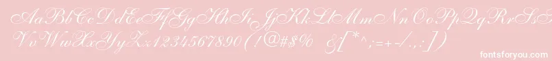 Allegroscript Font – White Fonts on Pink Background