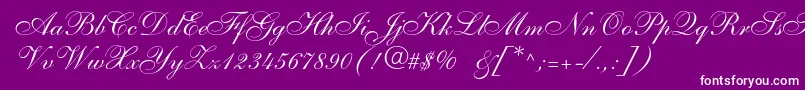 Allegroscript-Schriftart – Weiße Schriften auf violettem Hintergrund