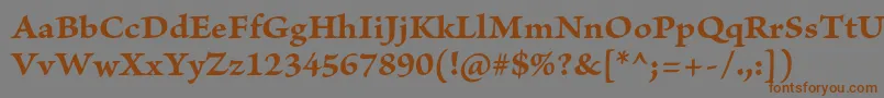 フォントBriosoproBoldcapt – 茶色の文字が灰色の背景にあります。