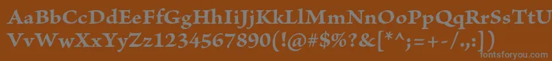 Шрифт BriosoproBoldcapt – серые шрифты на коричневом фоне