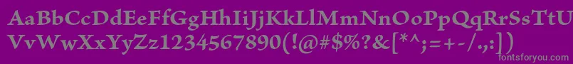 BriosoproBoldcapt-fontti – harmaat kirjasimet violetilla taustalla