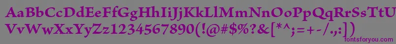 BriosoproBoldcapt-fontti – violetit fontit harmaalla taustalla