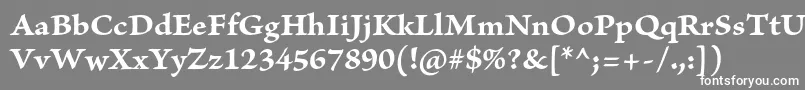 BriosoproBoldcapt-fontti – valkoiset fontit harmaalla taustalla