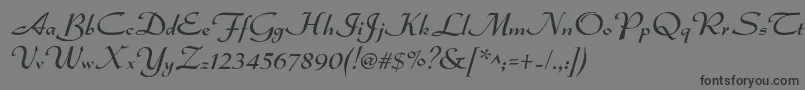 Dsadmiral Font – Black Fonts on Gray Background