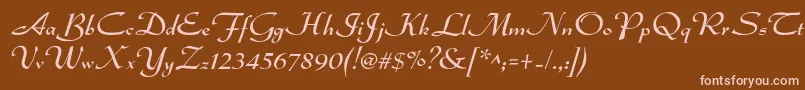 Dsadmiral Font – Pink Fonts on Brown Background
